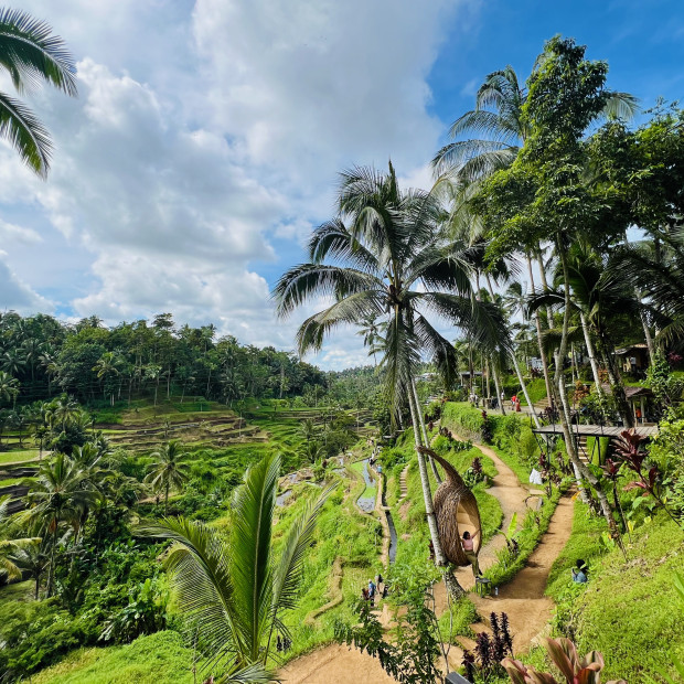 Tegallalang Rice Terrace, Bali, Indonesia
